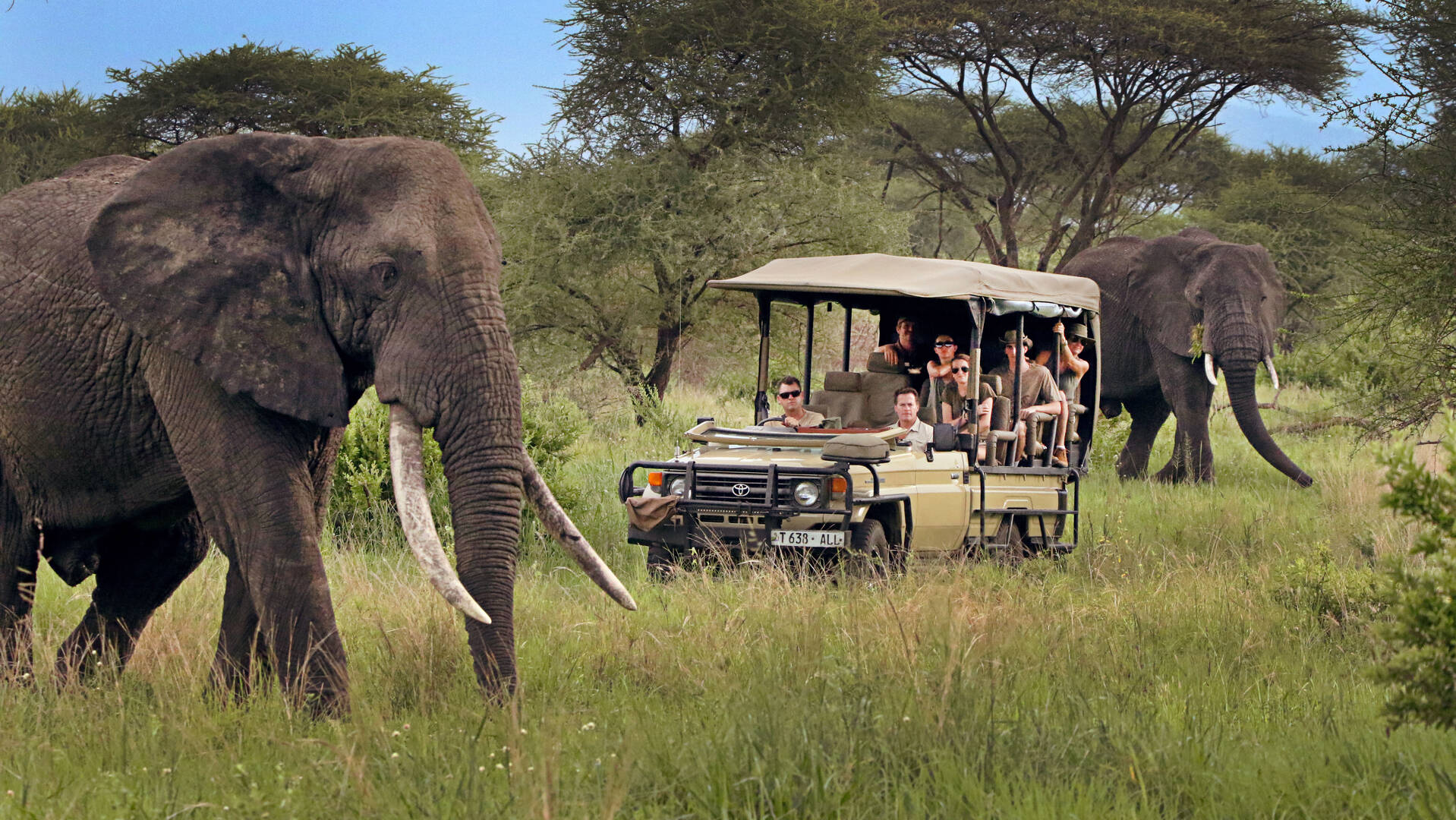 Botswana: The Untamed Wilderness & Waterways - Image 2