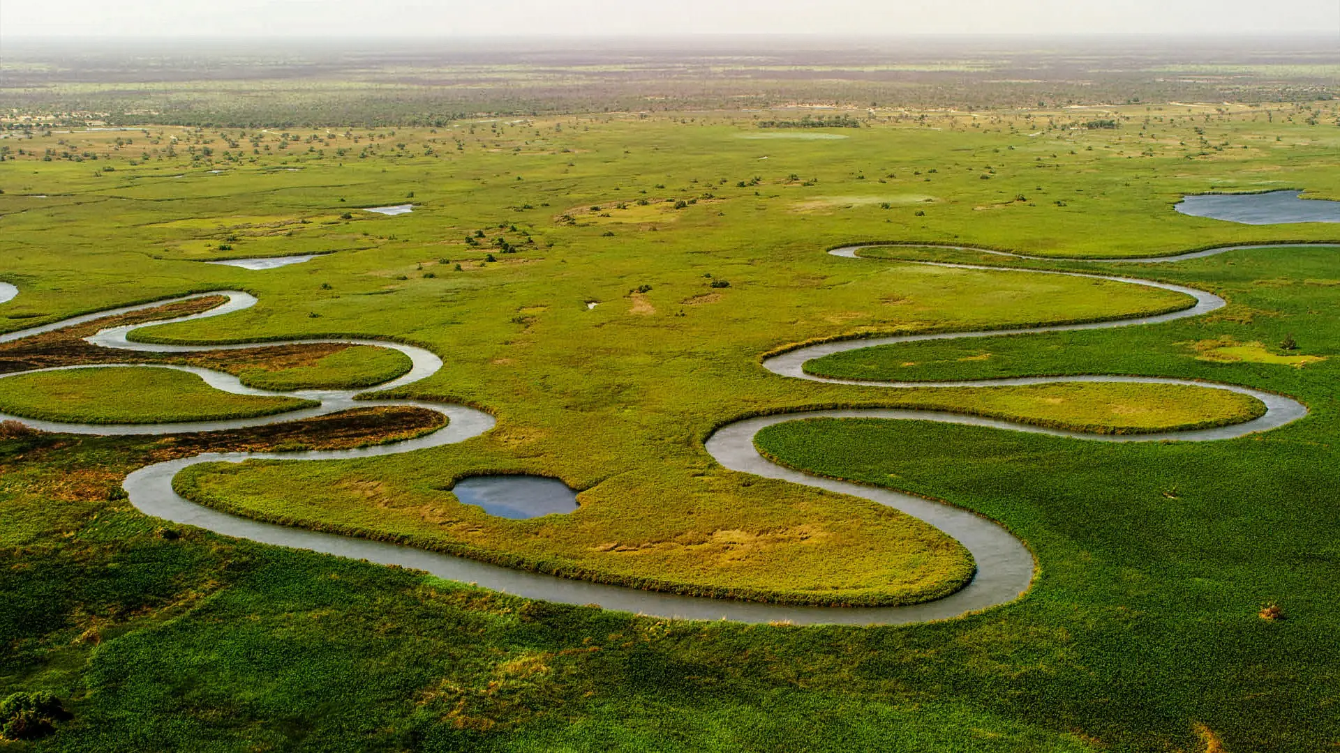 Botswana: The Untamed Wilderness & Waterways